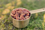 Maple Glazed Pecans - 12 bags