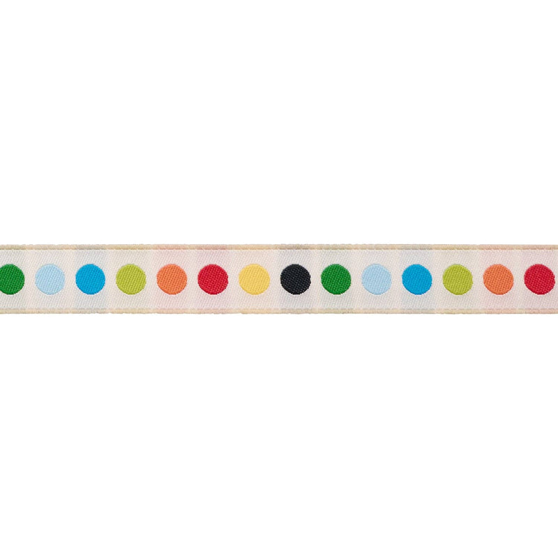 Painting Fun - 5/8" width - Back to School by Stacy Iest Hsu - 15 Yard Spool