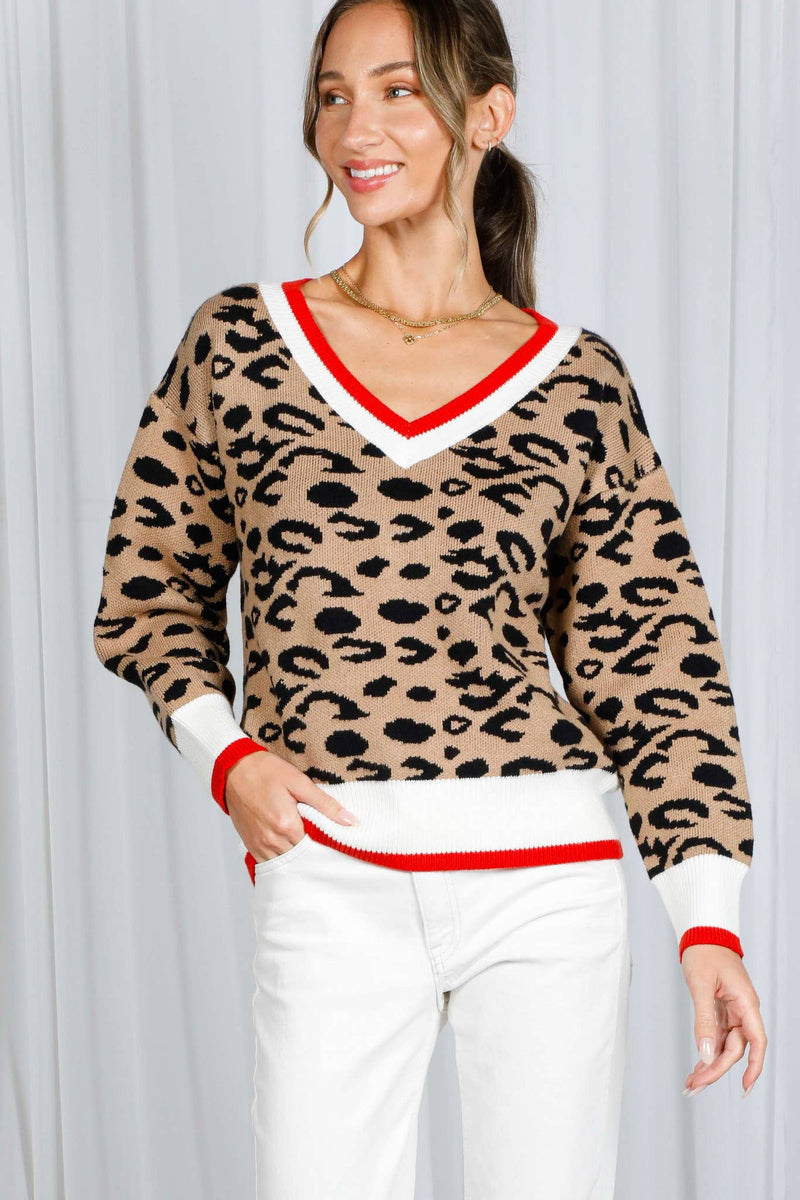 Leopard Pattern V-Neck Sweater