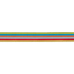 Rainbow Power - 5/8" width - Back to School by Stacy Iest Hsu - 15 Yard Spool