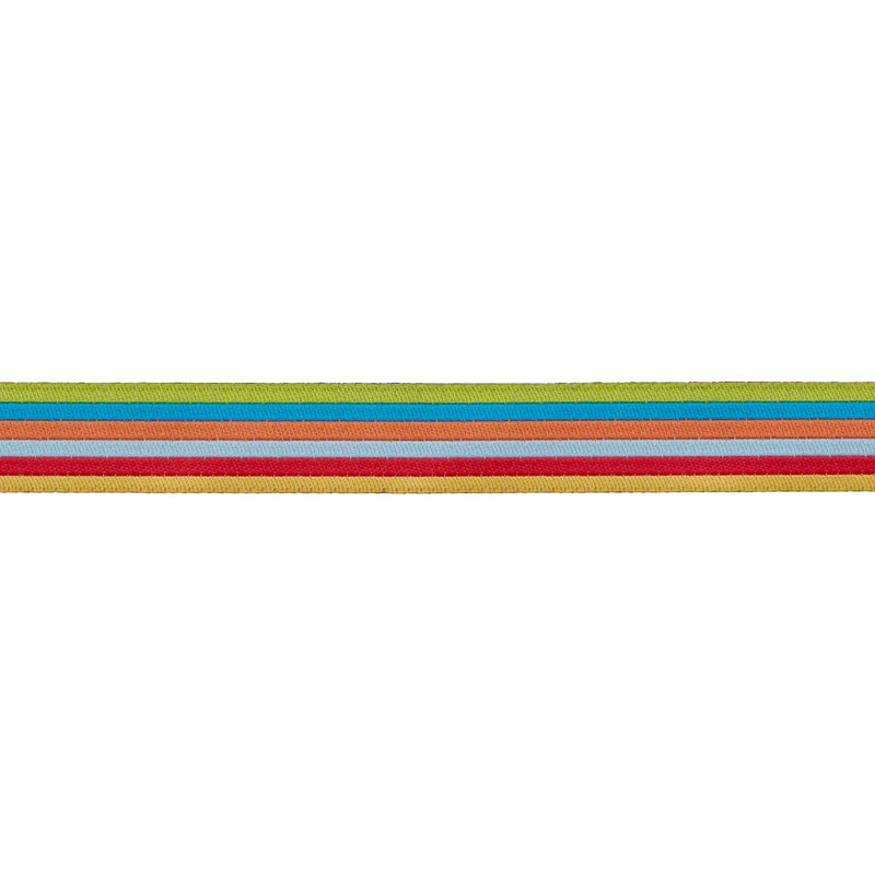 Rainbow Power - 5/8" width - Back to School by Stacy Iest Hsu - 15 Yard Spool