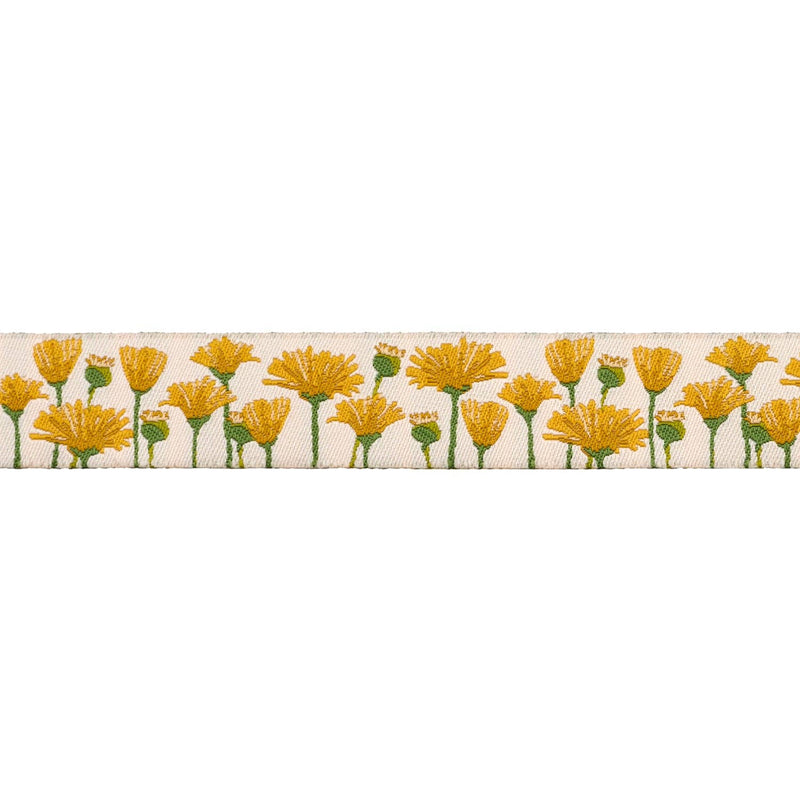 Blooms in Afternoon - 7/8" width - Meadow - 15 Yard Spool