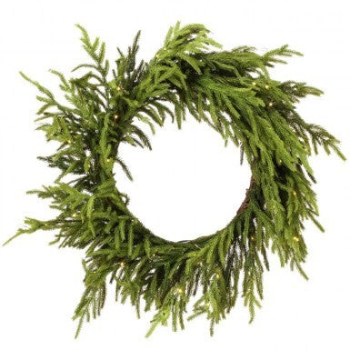 24" Norfolk Pine Wreath