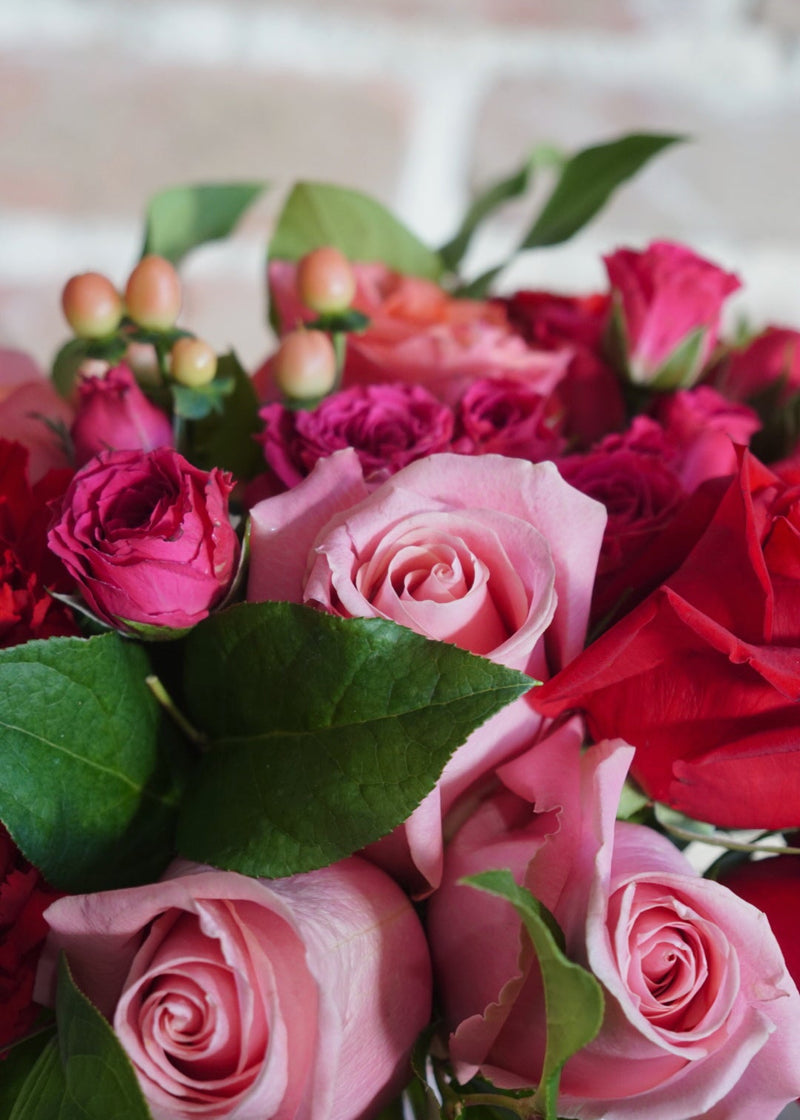 roses and carnations