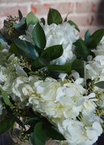 white hydrangeas