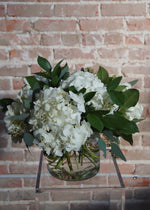 white hydrangeas