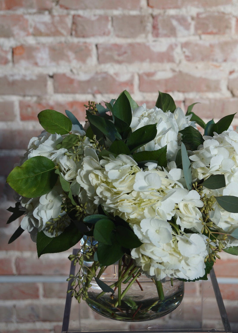 white hydrangeas