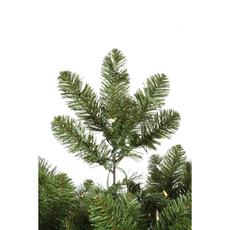 Vickerman 9' x 24" Grand Teton Artificial Garland, Unlit