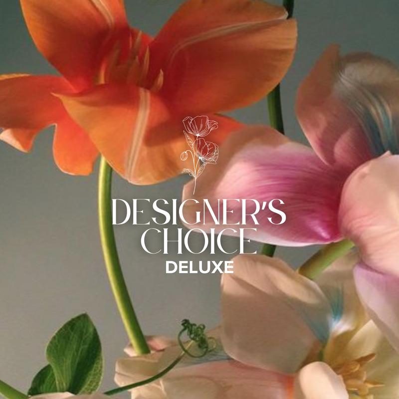 Deluxe Designer's Choice Arrangement