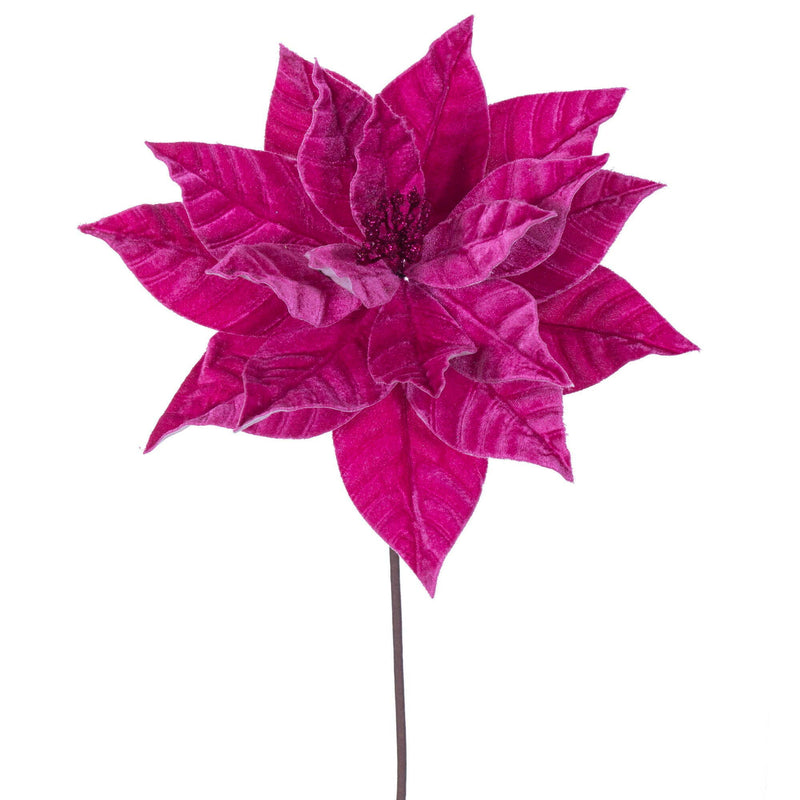 21.5" Hot Pink Poinsettia 12" Flwr