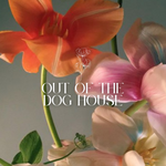 Out of the Dog House