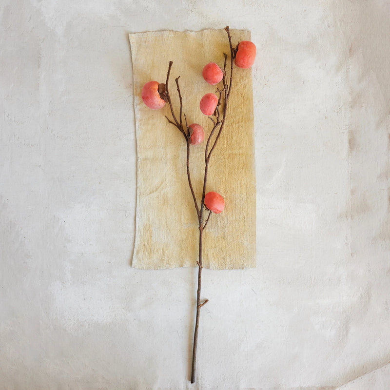 37" Persimmon Branch