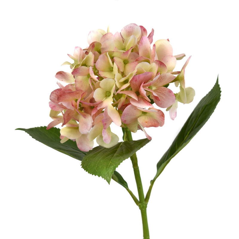 26.5” Freshly Bloomed Hydrangea Stem
