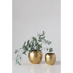 Hammered Metal Planters, Brass Finish