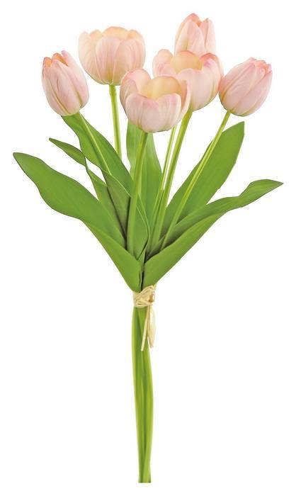 Mixed Small Tulip Bundle